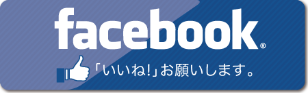 伊丹市 総合格闘技 ブラジリアン柔術 キックボクシング | WKH 和術慧舟會兵庫支部