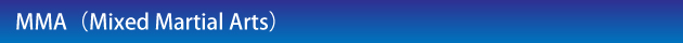 mma.jpg